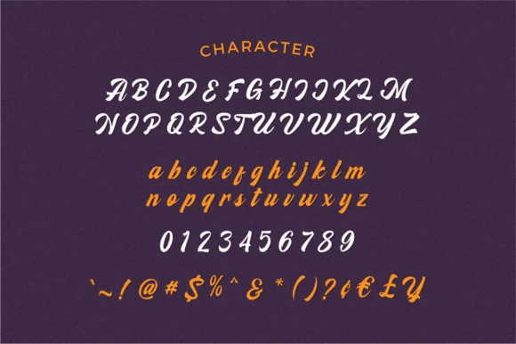 Recelity Font by 24Design Studios — Script Handwritten Font — thumbnail 7