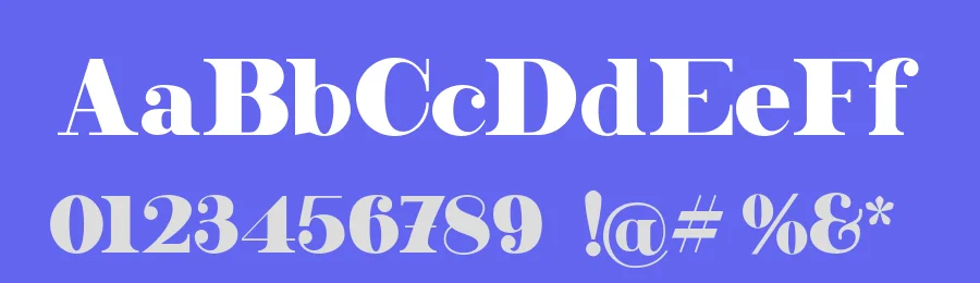 Rechdoor by Type on Studio — Serif Font — thumbnail 3