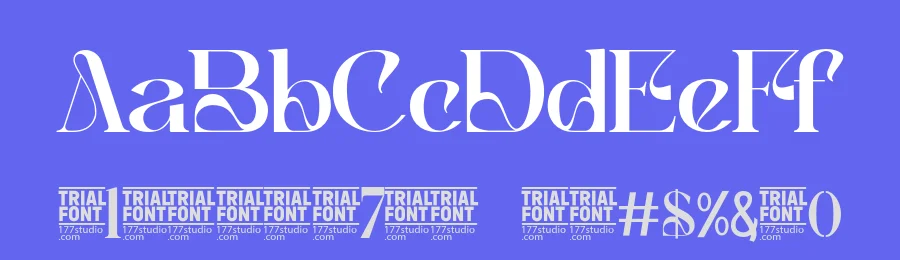 Recognition by 177Studio — Decorative Font — thumbnail 3