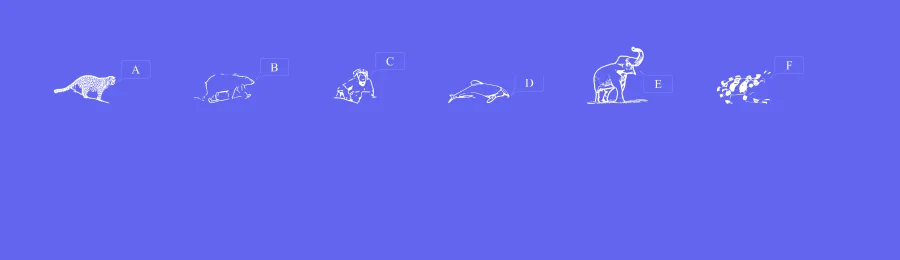 Red List by Attila Ángyán — Dingbats Font — thumbnail 3