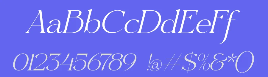 Reglarik by Denustudios — Serif Font — thumbnail 3
