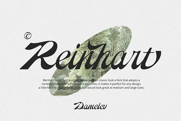 Reinhart Font by Damelev. — Script Handwritten Font