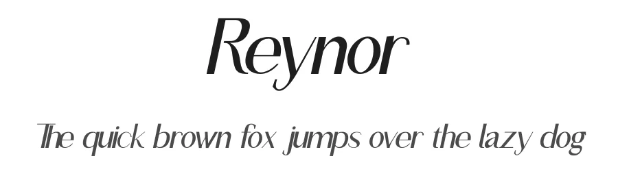 Reynor by Monolab — Serif Font