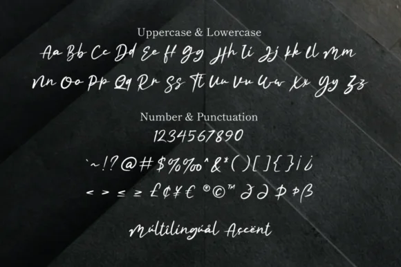 Rhiledia Font by attypestudio — Script Handwritten Font — thumbnail 4
