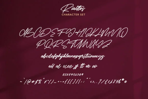 Rialltos Font by Maulana Creative — Script Handwritten Font — thumbnail 8