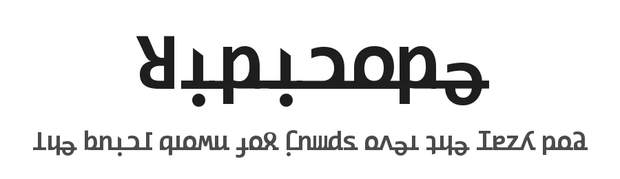 Ridicode by typO969 — Decorative Font