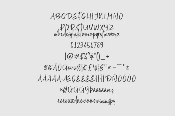 Rille Battin Font by Letteriono — Script Handwritten Font — thumbnail 3