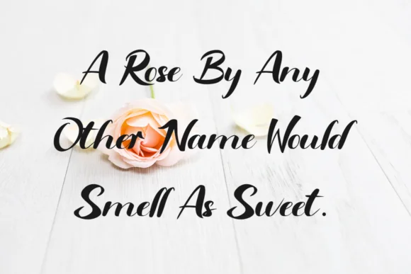 Rinjani Font by bee.genin by bee.genin — Script Handwritten Font — thumbnail 2