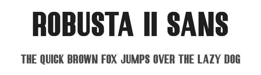 Robusta II Sans by Runsell Studio — Sans Serif Font