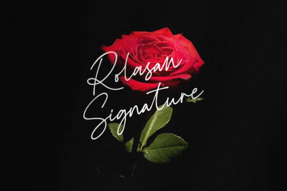 Rolasan Signature Font by zuzulgo studio — Script Handwritten Font