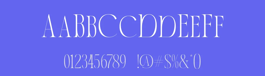 Ronachy by Storytype Studio — Serif Font — thumbnail 3