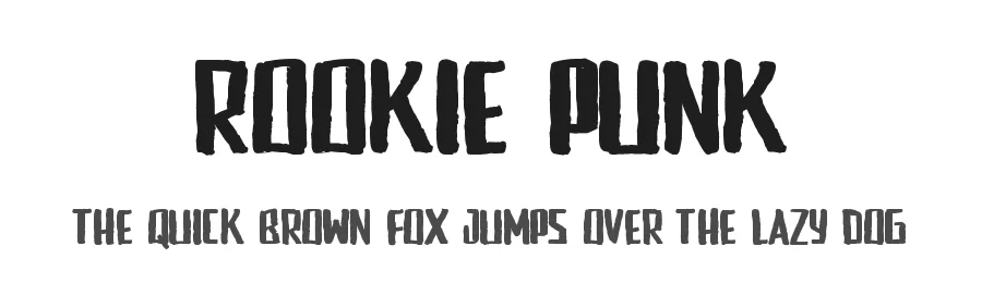 Rookie Punk