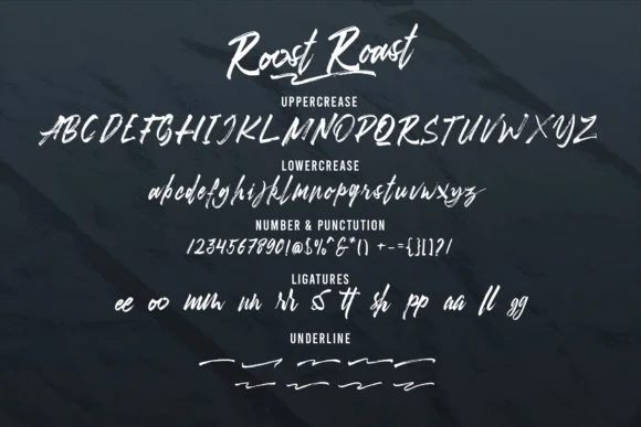 Roost by Kines.studio — Script Handwritten Font — thumbnail 2