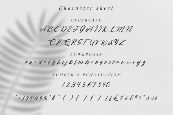 Rose Malow Font by attypestudio — Script Handwritten Font — thumbnail 8