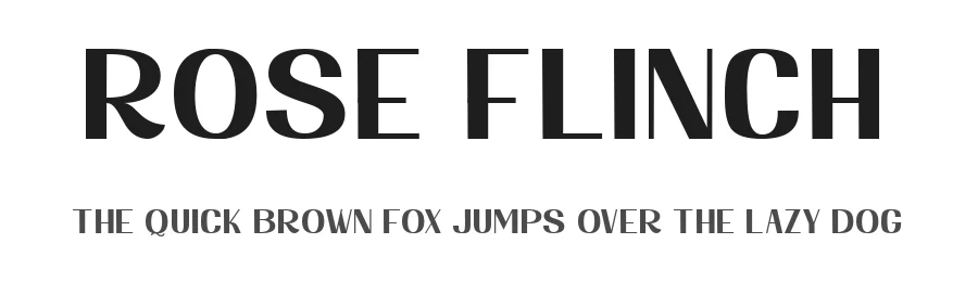Rose Flinch by Nur Solikh β Sans Serif Font
