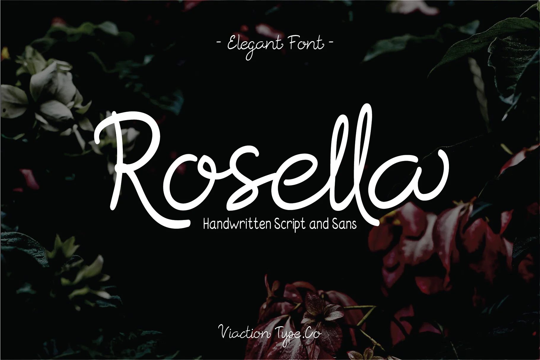 Rosella Font by Viaction Type.Co — Script Handwritten Font