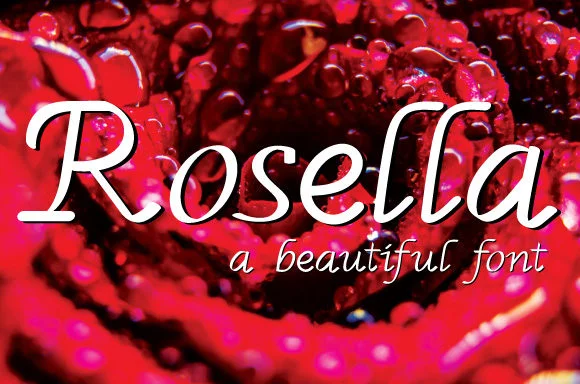 Rosella Font by Dedi Art Studio by Dedi Art Studio — Script Handwritten Font