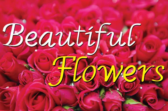 Rosella Font by Dedi Art Studio by Dedi Art Studio — Script Handwritten Font — thumbnail 3