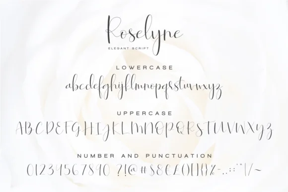 Roselyne Script Font by Dharmas Studio — Script Handwritten Font — thumbnail 8