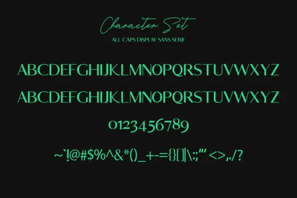 Rosletta Font by Maulana Creative — Script Handwritten Font — thumbnail 9