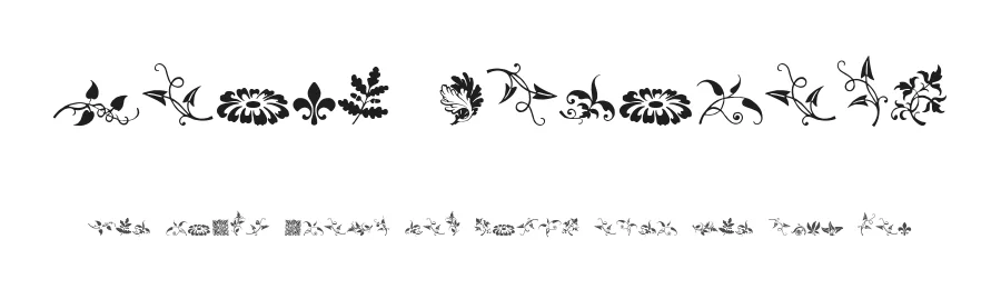 Rough Fleurons by Intellecta Design — Dingbats Font
