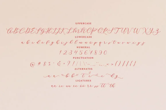 Rowley Script Font by Stellar Studio — Script Handwritten Font — thumbnail 2