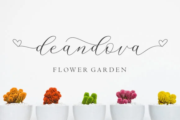 Rowley Script Font by Stellar Studio — Script Handwritten Font — thumbnail 7