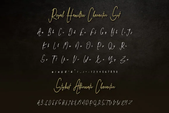 Royal Hamilton Font by Dhw type — Script Handwritten Font — thumbnail 4