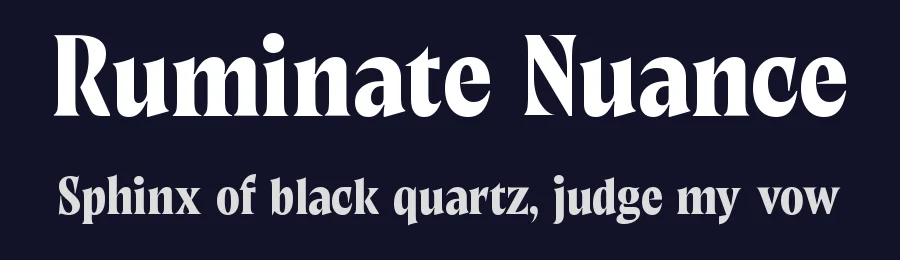 Ruminate Nuance by Variatype — Serif Font — thumbnail 2