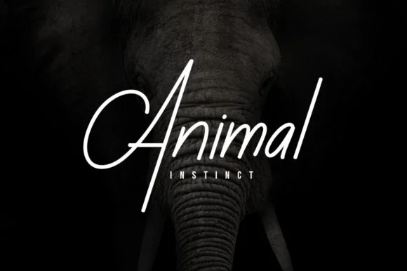 Rusa Hitam Font by Maulana Creative — Script Handwritten Font — thumbnail 2