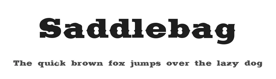 Saddlebag