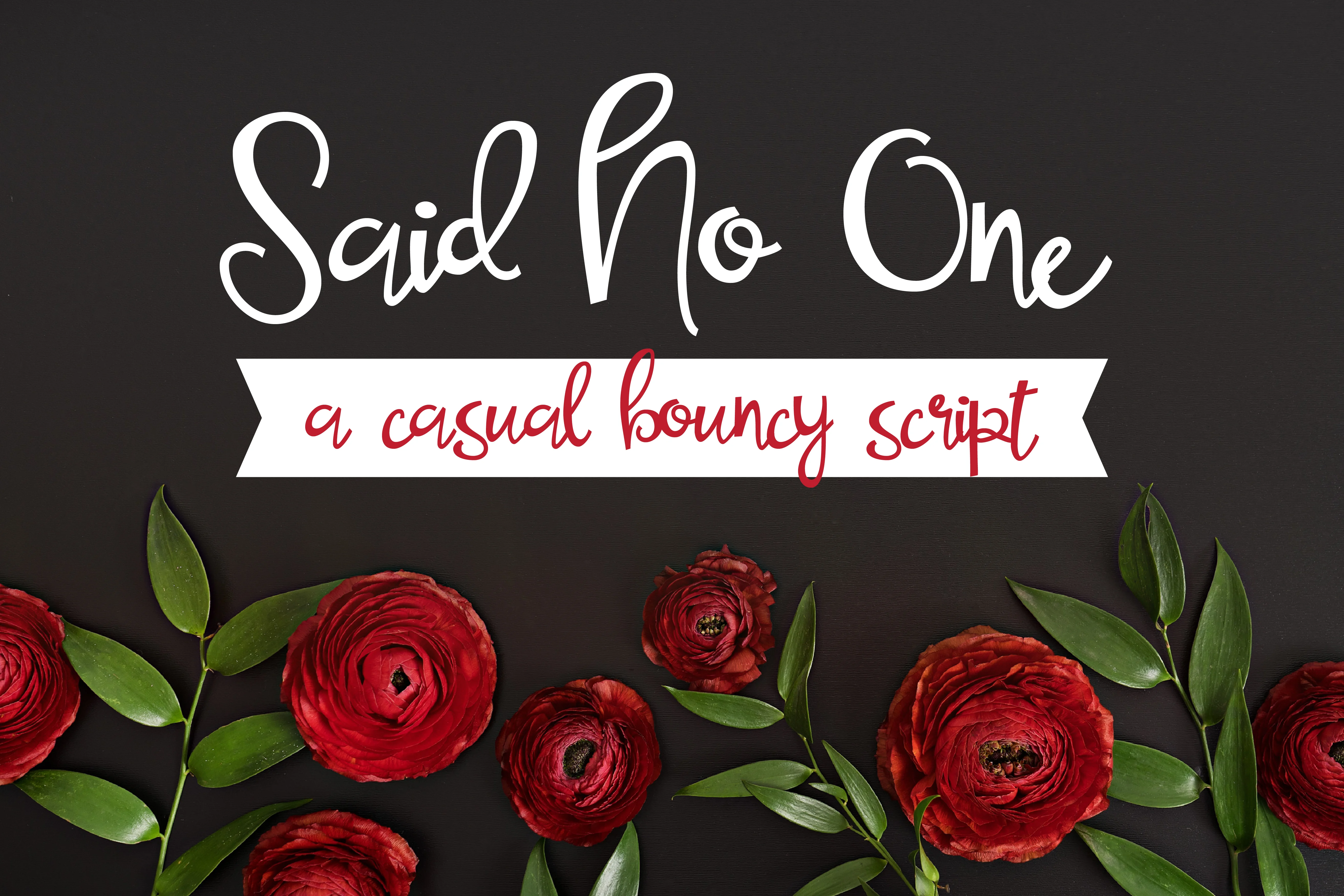Said No One Font by Illustration Ink — Script Handwritten Font