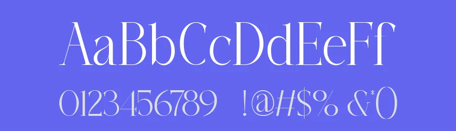 Saignh by Slide Shoot Type — Serif Font — thumbnail 3