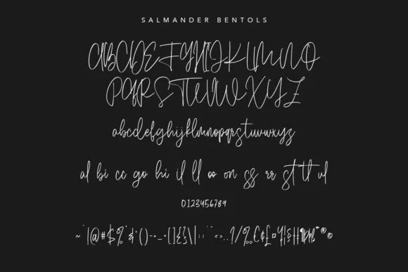 Salmander Bentols Font by Maulana Creative — Script Handwritten Font — thumbnail 7
