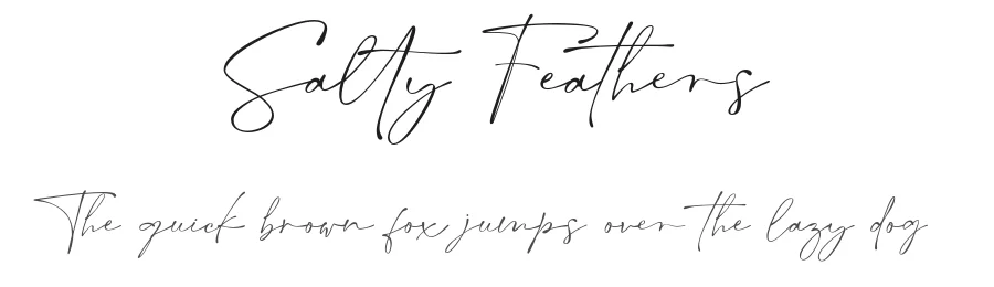 Salty Feathers