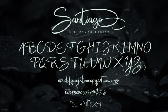 Santiago Font by Debut Studio by Debut Studio — Script Handwritten Font — thumbnail 4