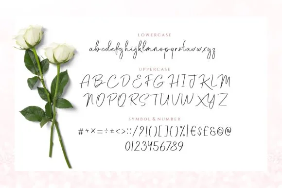 Saodah Font by Fype Co. — Script Handwritten Font — thumbnail 6