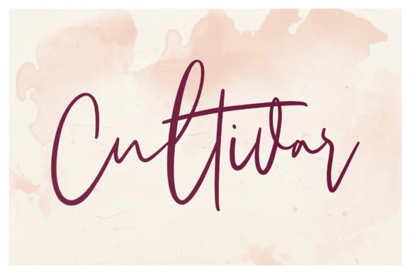 Sarvati Font by Maulana Creative — Script Handwritten Font — thumbnail 3