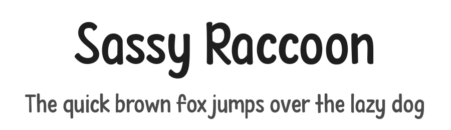 Sassy Raccoon