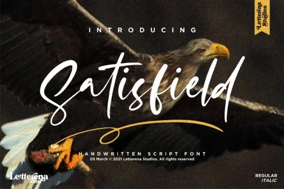 Satisfield Font by Letterena Studios — Script Handwritten Font