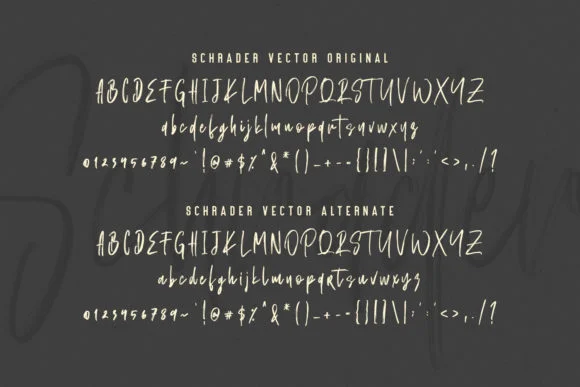 Schrader Font by Maulana Creative — Script Handwritten Font — thumbnail 2
