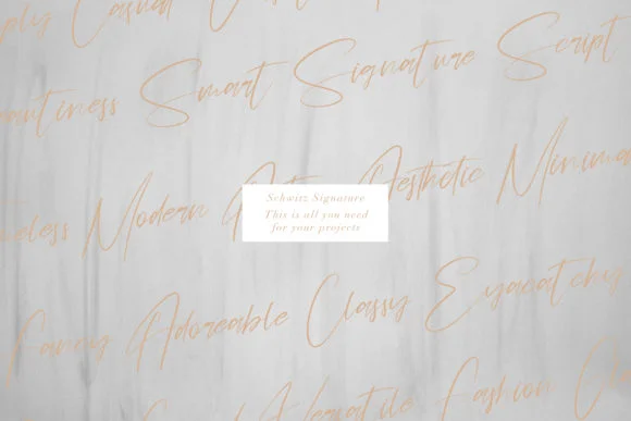 Schwitz Signature Font by Maulana Creative — Script Handwritten Font — thumbnail 8