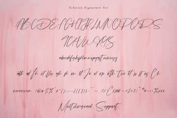 Schwitz Signature Font by Maulana Creative — Script Handwritten Font — thumbnail 9