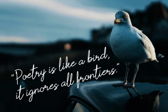 Scoutline Font by signatoro — Script Handwritten Font — thumbnail 3
