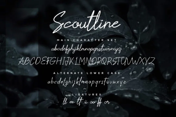 Scoutline Font by signatoro — Script Handwritten Font — thumbnail 6