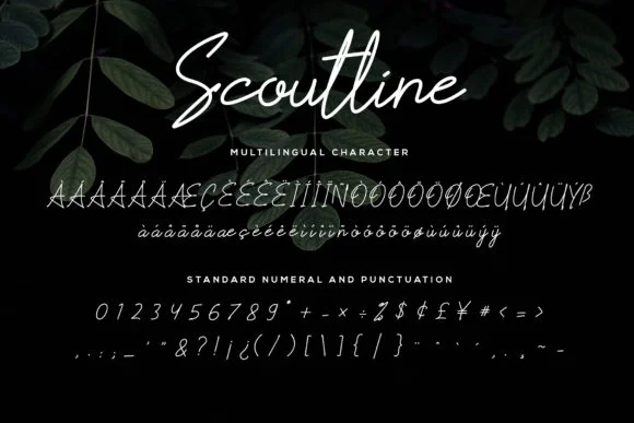 Scoutline Font by signatoro — Script Handwritten Font — thumbnail 7