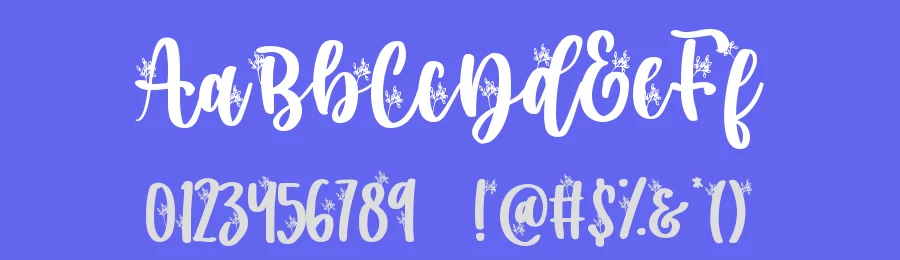 Secret Nature by DM Letter Studio - Dimas Prasetyo — Decorative Font — thumbnail 3