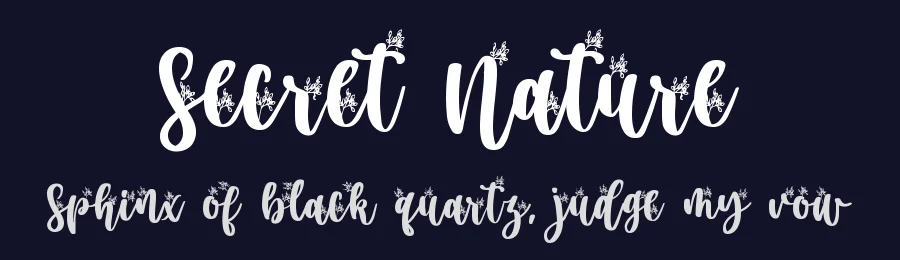 Secret Nature by DM Letter Studio - Dimas Prasetyo — Decorative Font — thumbnail 2
