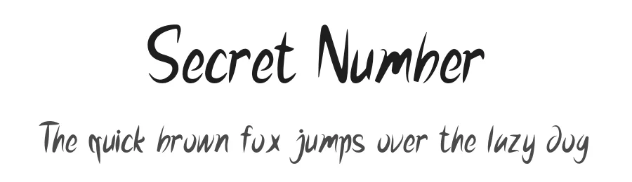 Secret Number