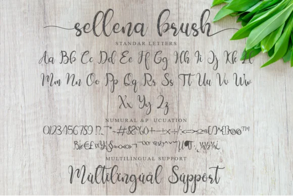 Sellena Font by Muksal Creative — Script Handwritten Font — thumbnail 6
